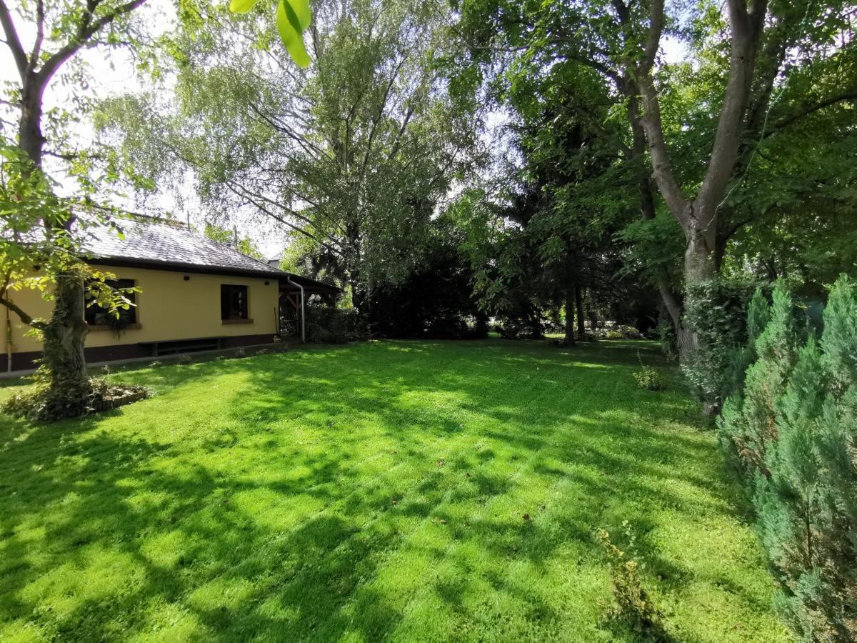 Szent Erzsebet Apartmanhaz Kecskemét Exterior foto