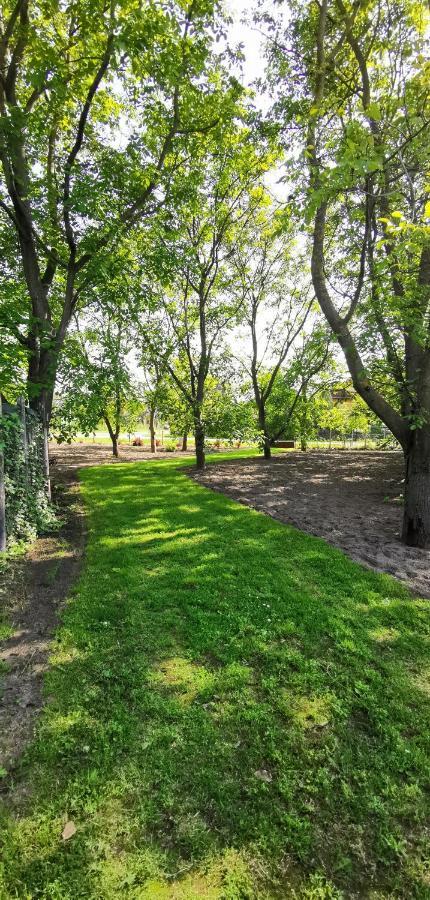 Szent Erzsebet Apartmanhaz Kecskemét Exterior foto