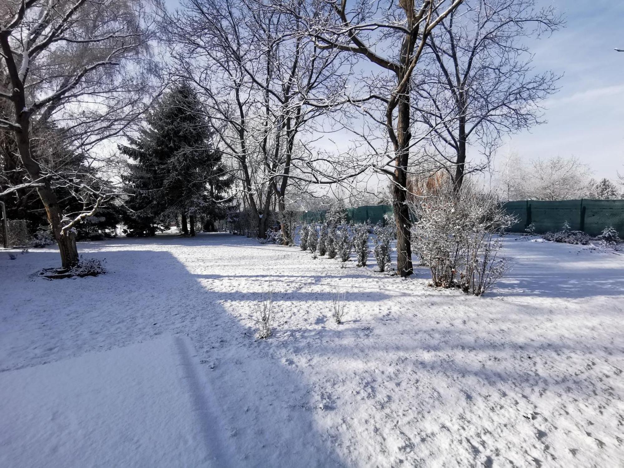 Szent Erzsebet Apartmanhaz Kecskemét Exterior foto